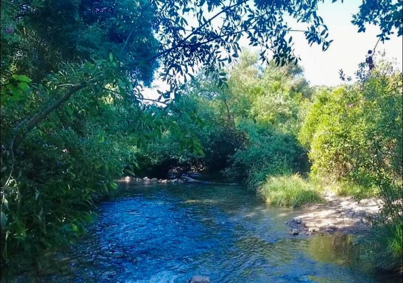 La Buhardilla De Torrecillas Эль-Боске Экстерьер фото