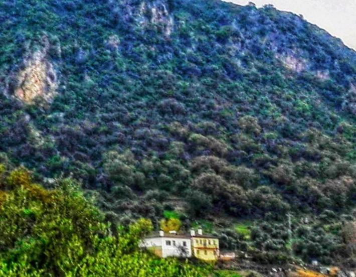 La Buhardilla De Torrecillas Эль-Боске Экстерьер фото